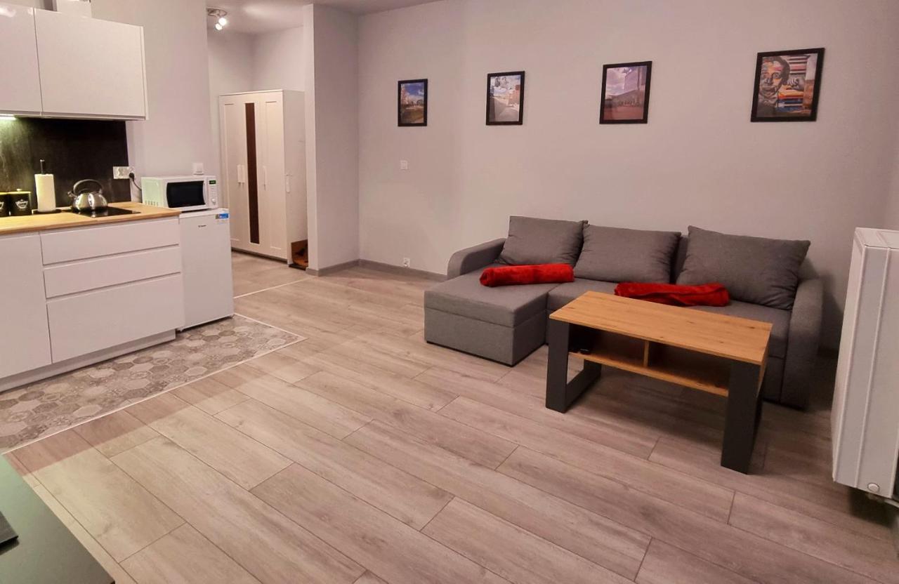 Apartament Kopernika 49 Лодзь Экстерьер фото